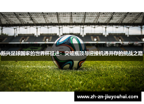 新兴足球国家的世界杯征途：突破瓶颈与迎接机遇并存的挑战之路