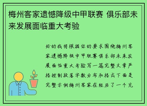 梅州客家遗憾降级中甲联赛 俱乐部未来发展面临重大考验